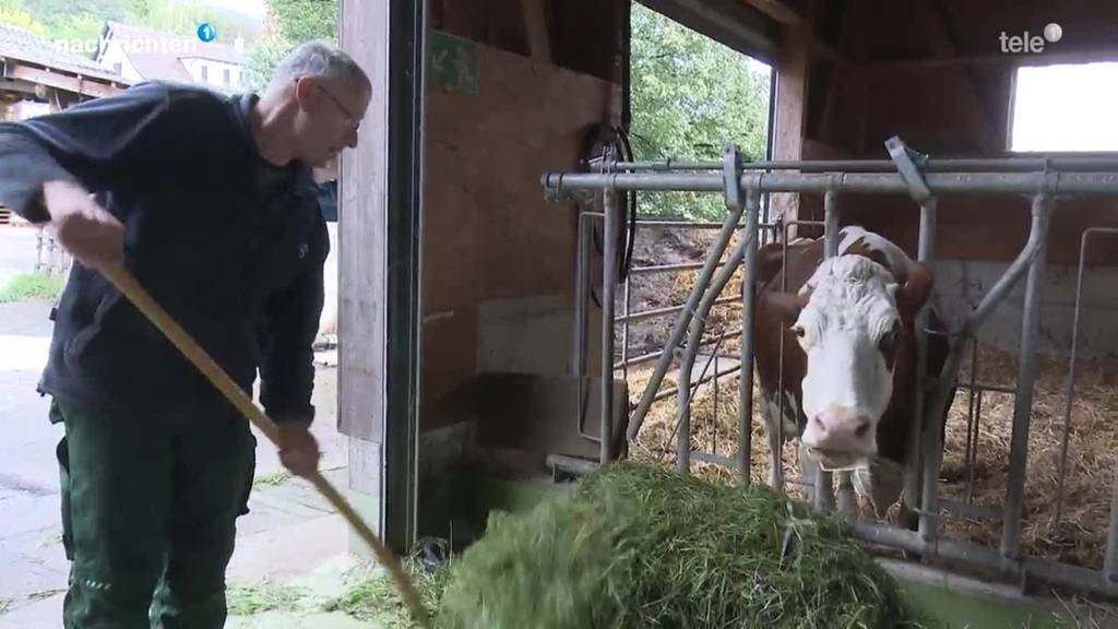 Forderung nach schärferen Littering Massnahmen