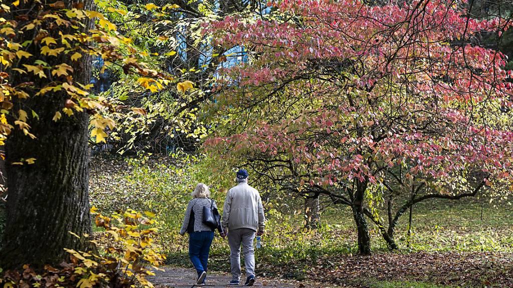 Körperliche und soziale Aktivitäten, wie Spaziergänge mit Freunden oder Familie, lassen laut einer neuen Studie das Hirn langsamer altern. (Symbolbild)