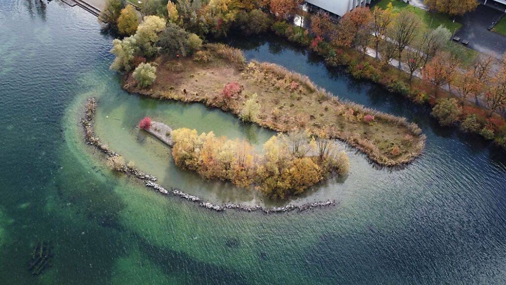 Stadt Luzern will Brutinseln beim Alpenquai aufwerten