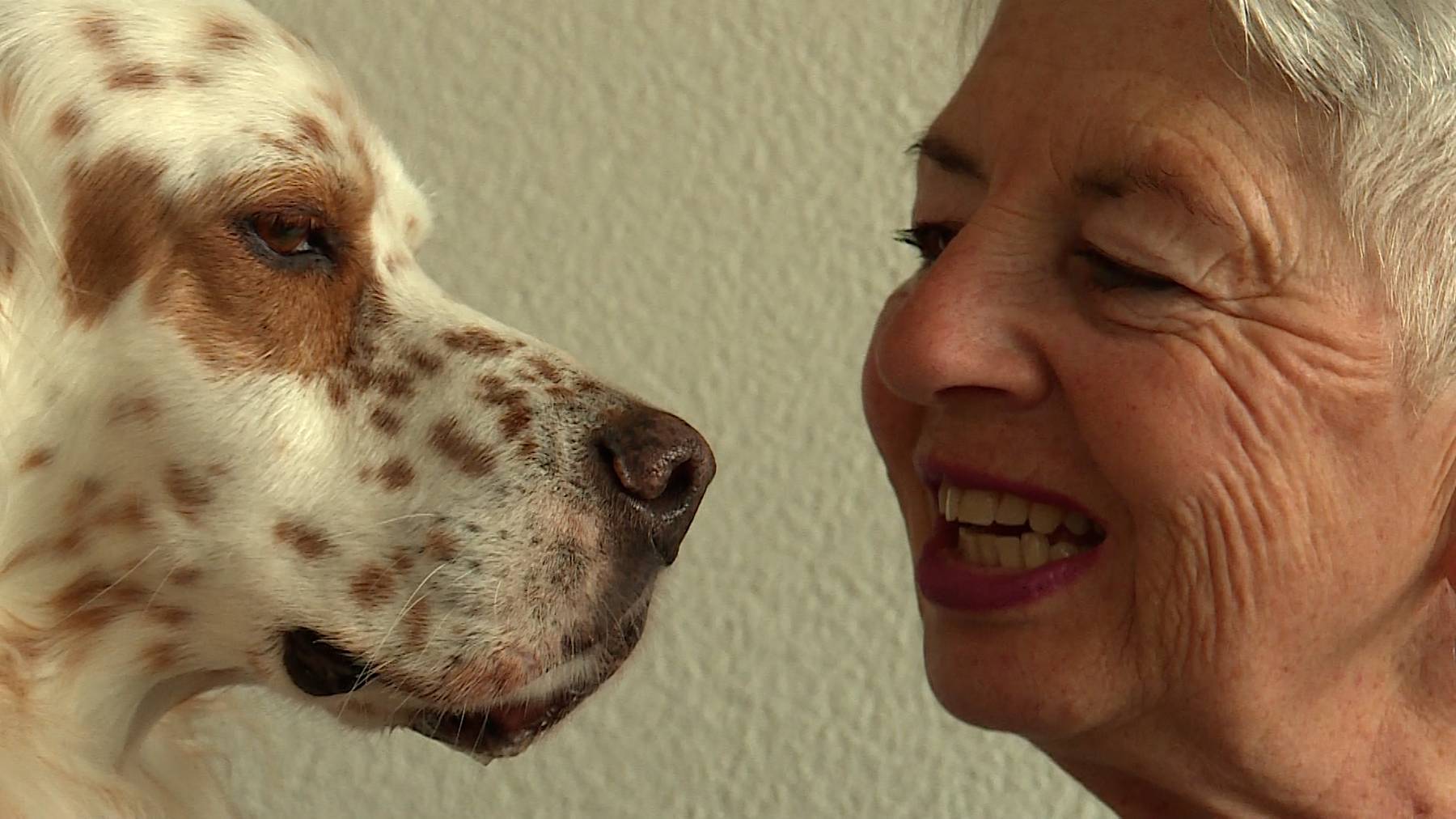 Happy End für «Chester»