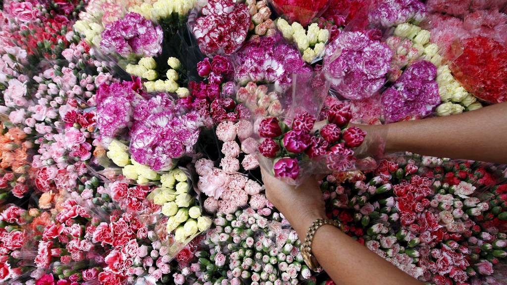 Verwelkte Rosen waren gestern: Mit diesen Tipps bleiben Blumen länger schön