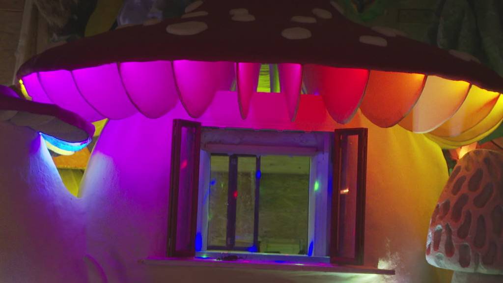 Wagenbaugruppen im Endspurt - Der LFK-Baustellenrundgang