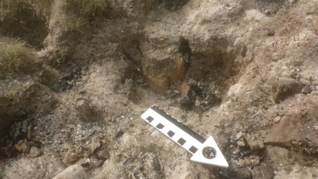 Pfahlbauersiedlung im Sempachersee ist in einem schlechten Zustand