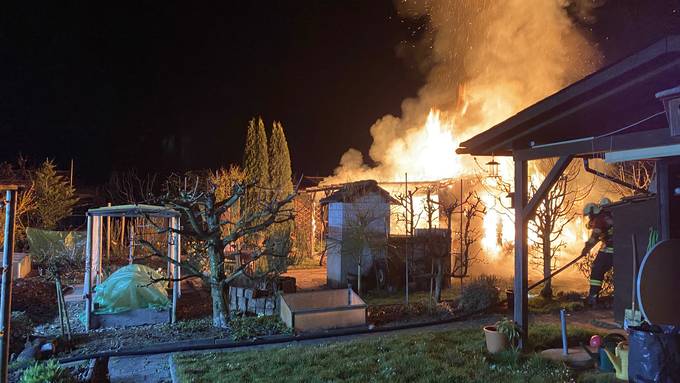 Flammen zerstören Gartenhaus