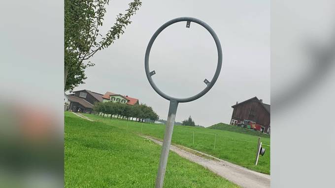 Schilderklau an Aargauer Grenze nimmt zu – Polizei rätselt über Gründe