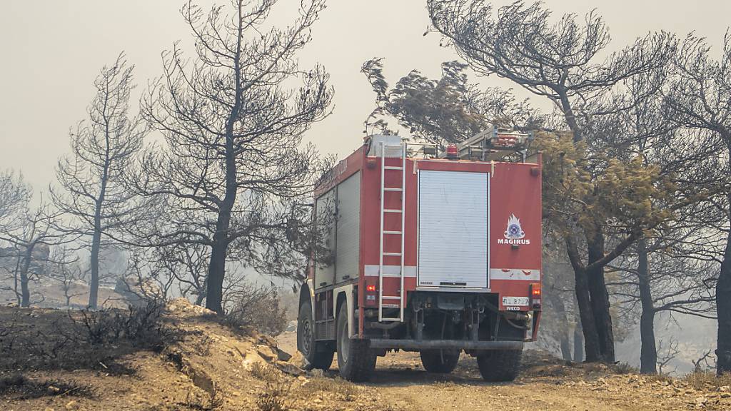 Ein Löschfahrzeug bahnt sich seinen Weg durch abgebrannte Bäume während eines katastrophalen Waldbrandes auf der griechischen Insel Rhodos. Foto: Lefteris Damianidis/InTime News/AP/dpa