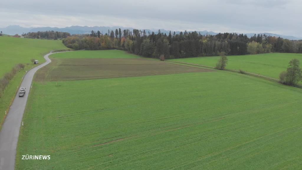 Bauern fürchten wegen geplanten Mooren um Existenz