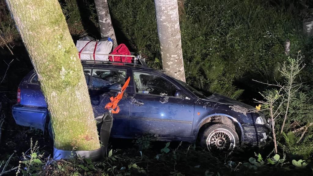 Ohne Führerausweis und in nicht fahrfähigem Zustand hat eine Tschechin in Muotathal einen Unfall gebaut.