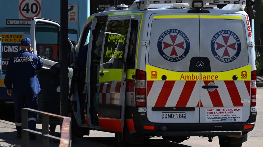 An ambulance is seen at Taronga Zoo in Sydney, Wednesday, November 2, 2022. Lions have reportedly escaped their enclosure at Taronga Zoo in Sydney. (AAP Image/Dean Lewins) NO ARCHIVING
