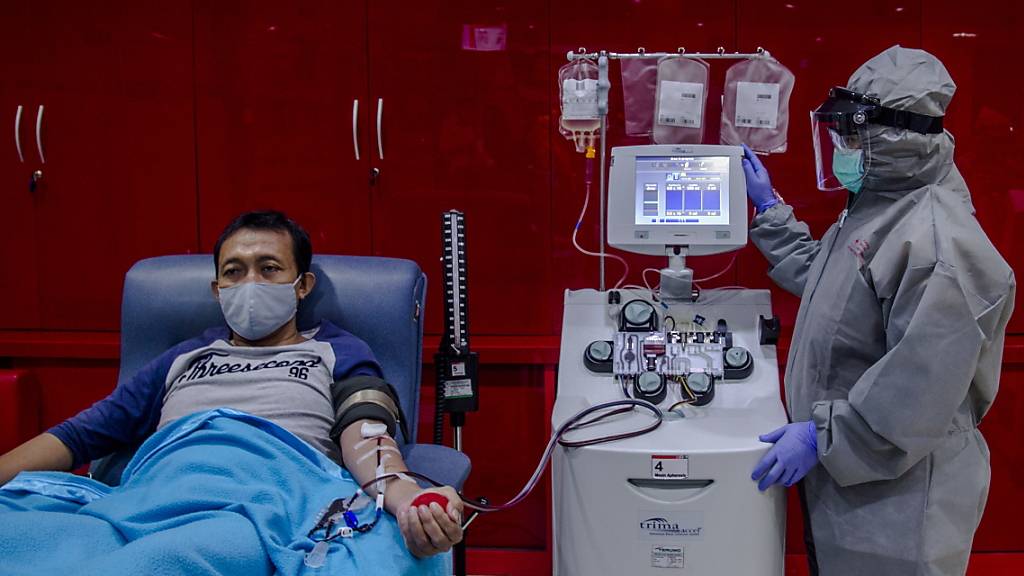 Ein genesener Covid-Patient in Indonesien spendet Blut zur Plasma-Gewinnung. (Archivbild)