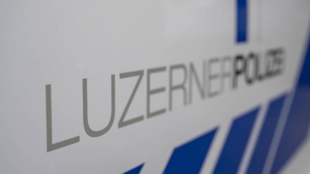 Die Luzerner Polizei hat bei einer koordinierten Kontrolle mehrere Fahrzeuge aus dem Verkehr genommen. (Symbolbild)