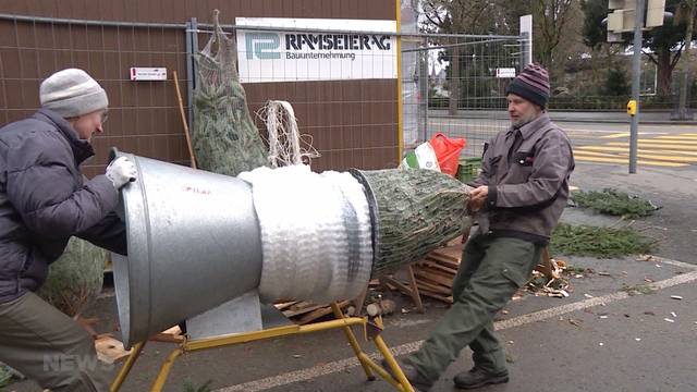 Ansturm auf letzte Weihnachtsbäume