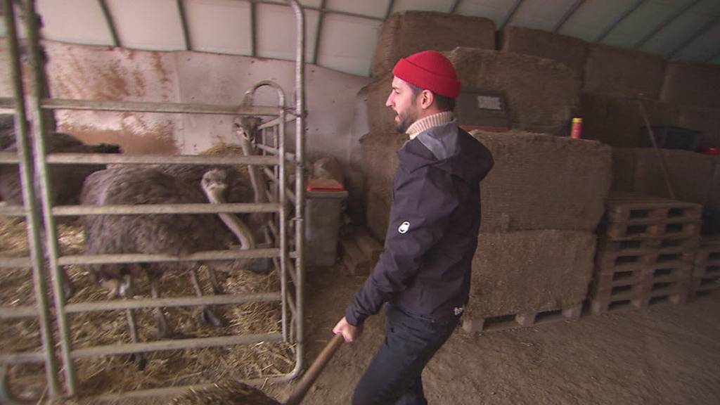 Unterwegs in Hitzkirch