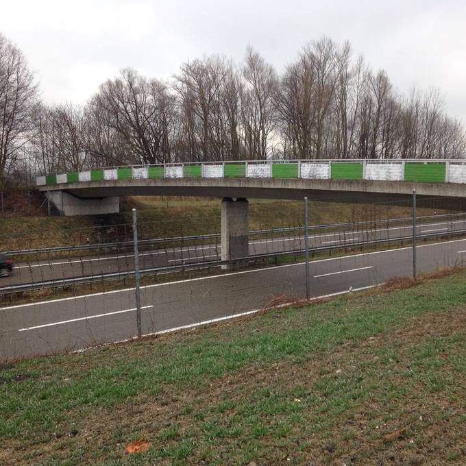 Eine Autobahnbrücke für den FCSG