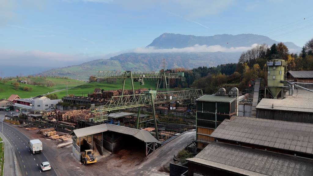 Die grösste Sägerei der Schweiz