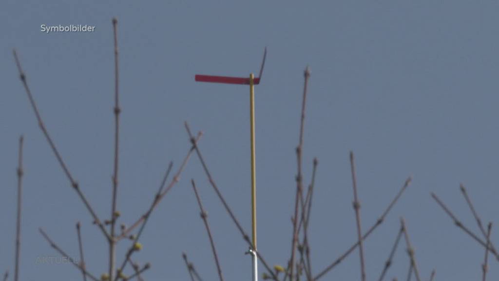 Gemeinderat-ABC: Neu Gewählte machen sich fit für ihre Aufgabe