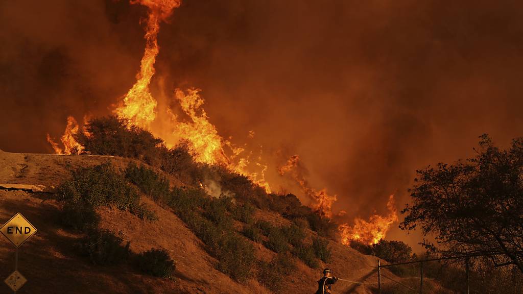 Feuer in Los Angeles: Zahl der Todesfälle steigt auf 16