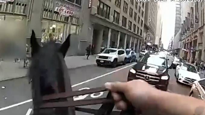 Räuber flüchtet in New York vor Polizeipferd 