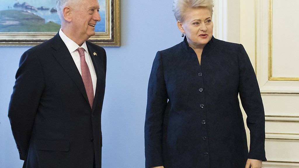 US-Verteidigungsminister James Mattis mit der litauischen Präsidentin Dalia Grybauskaite.
