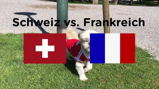 EM-Orakel: Schweiz vs. Frankreich