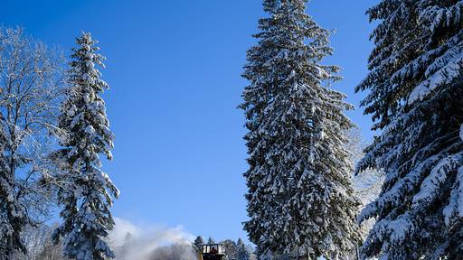 Bis zu 40 Zentimeter Neuschnee in zwölf Stunden am Alpennordhang