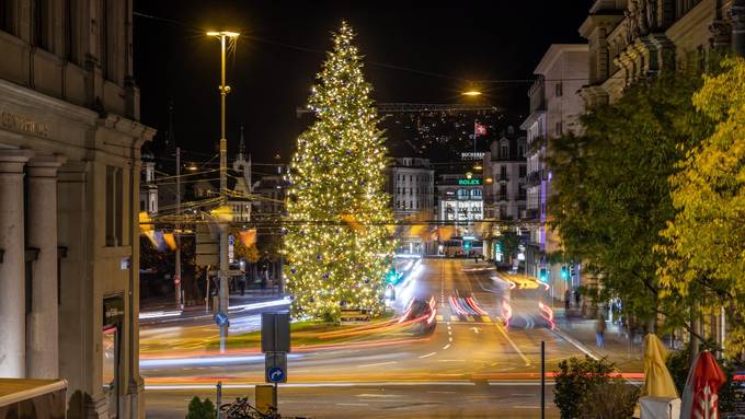 Die Stadt Luzern muss auf den grössten Weihnachtsbaum verzichten