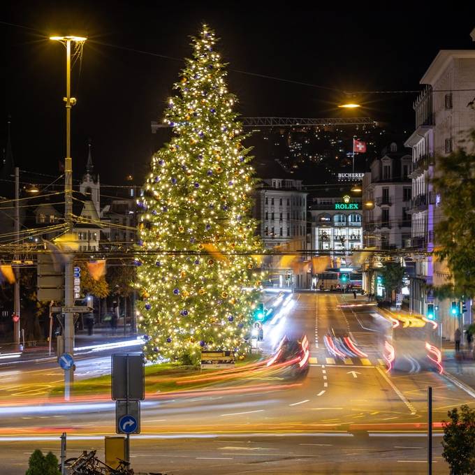 Die Stadt Luzern muss auf den grössten Weihnachtsbaum verzichten