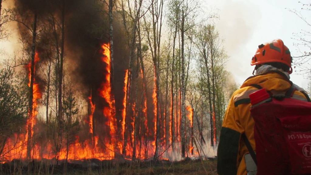 Im Kampf gegen die verheerenden Waldbrände in Russland bekommen die Einsatzkräfte weitere Verstärkung vom Militär. 