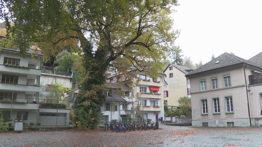 Einsturzgefahr an der Aare: Turnhalle Altenberg in Bern per sofort geschlossen