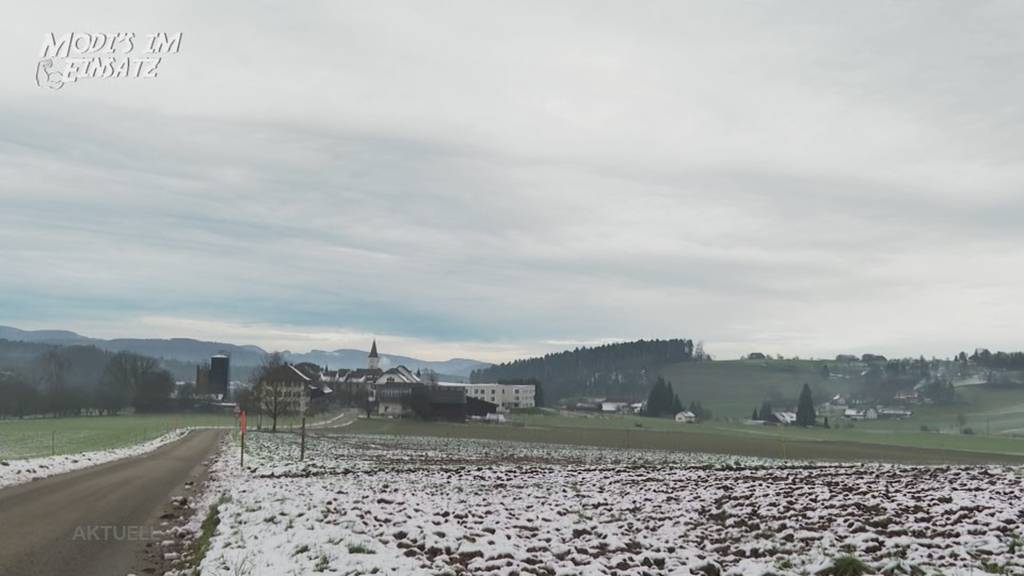 «Modis im Einsatz»: Tanja Gutmann hilft im Pflegeheim Sennhof in Vordemwald Guetzli backen