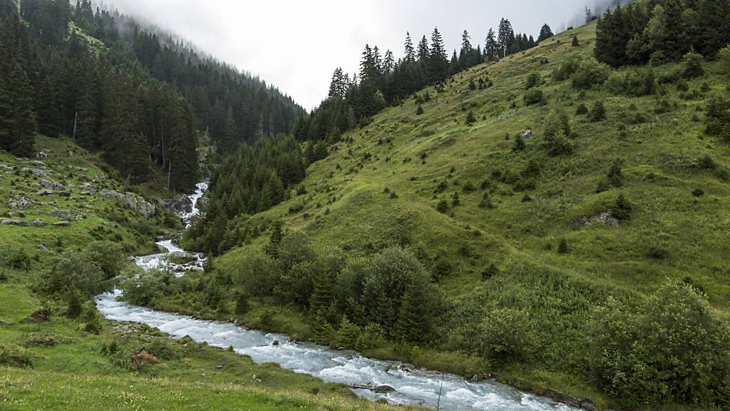 Wassertemperaturen in europäischen Berggewässern steigen