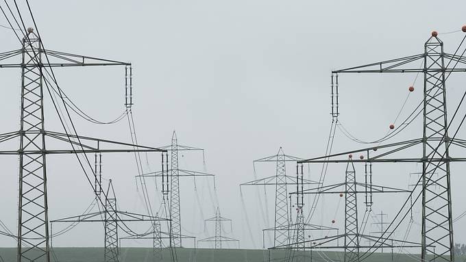 Bundesrat will strengere Vorgaben für systemkritische Stromfirmen