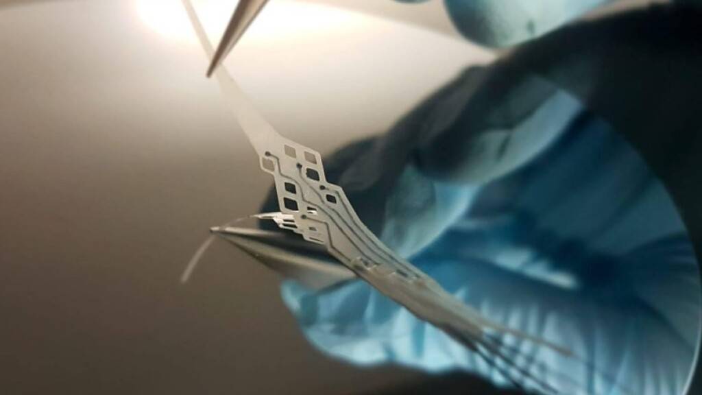 Ein von der EPFL entwickeltes Neuro-Implantat der neuesten Generation: lange haltbar, biologisch abbaubar und ohne Operation im Körper zu platzieren (Bild ETH Lausanne).