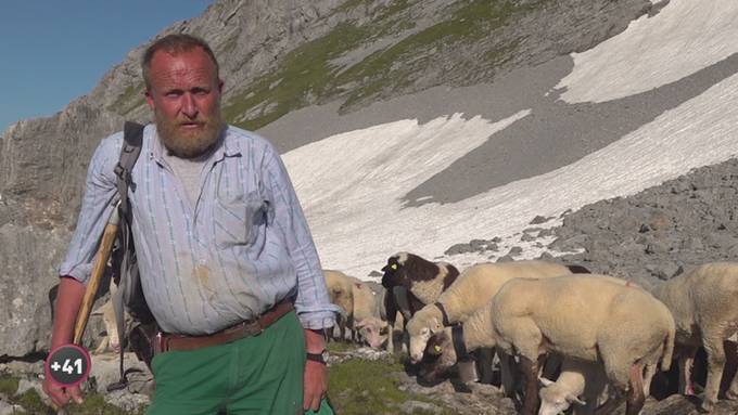Alpsommer – Ale und die 1000 Schafe 