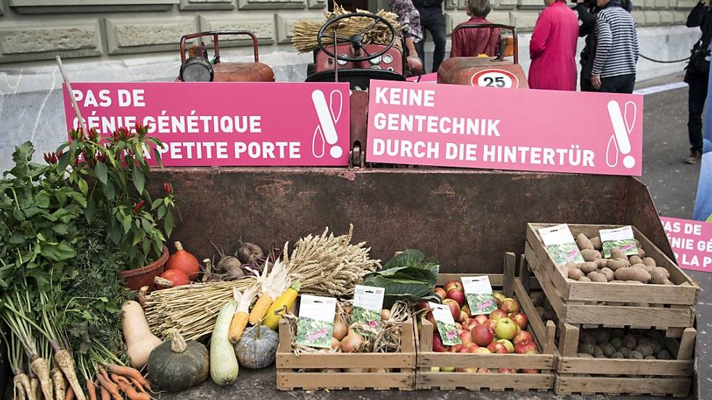 Gentech-kritische Organisationen überreichen in Bern Obst, Gemüse - und eine Petition. Sie fordern, dass neue Verfahren dem Gentechnikgesetz unterstellt werden.