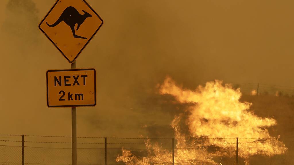 ARCHIV - Feuer brennt im Gras in der Nähe von Bumbalong, südlich der australischen Hauptstadt Canberra. Foto: Rick Rycroft/AP/dpa