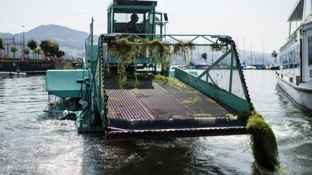 Die «Seekuh» war im Zürichsee nur noch selten in Betrieb. Seit Herbst 2025 ist sie nicht mehr im Einsatz. Jetzt wird das türkisfarbene Mähboot nach Morges VD verschoben. (Archivbild)