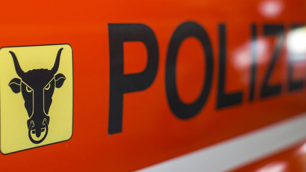 Zwei Autoinsassen bei Selbstunfall in Unterschächen UR verletzt