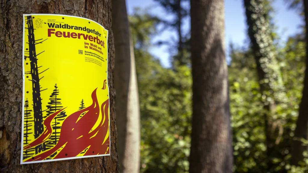 In mehreren Regionen der Schweiz dürfen Feuer nur noch an befestigten Feuerstellen entfacht werden. (Archivbild)