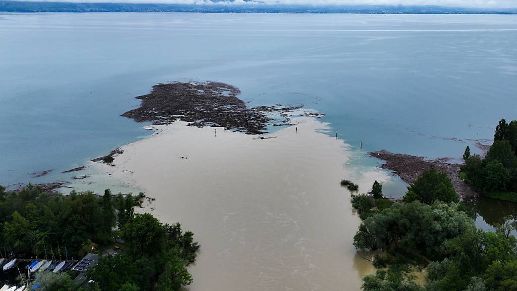 Grosse Hochwassergefahr: Treibholz an der Mündung des Flusses Argen in den Bodensee am deutschen Ufer.