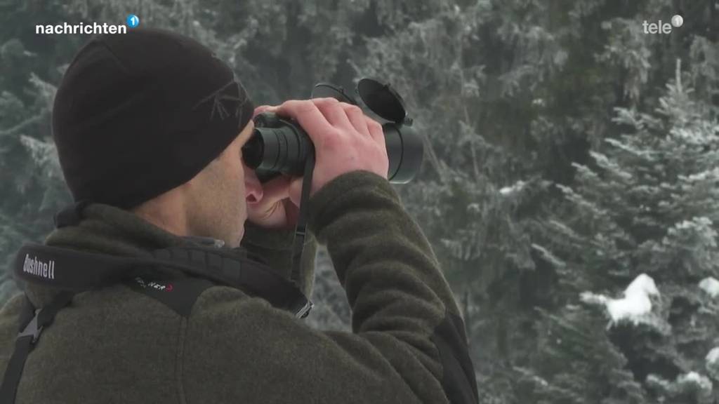 Spaziergänger sollen mehr Rücksicht auf Wildtiere nehmen