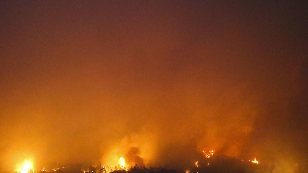In Chile wüteten bereits in der Vergangenheit Waldbrände, wie im Bild in Portezuelo im Jahr 2017. (Archivbild)