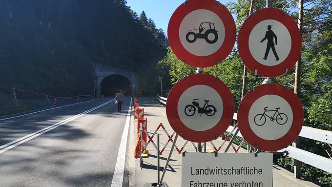 Ein neuer Axenstrassen-Tunnel muss her