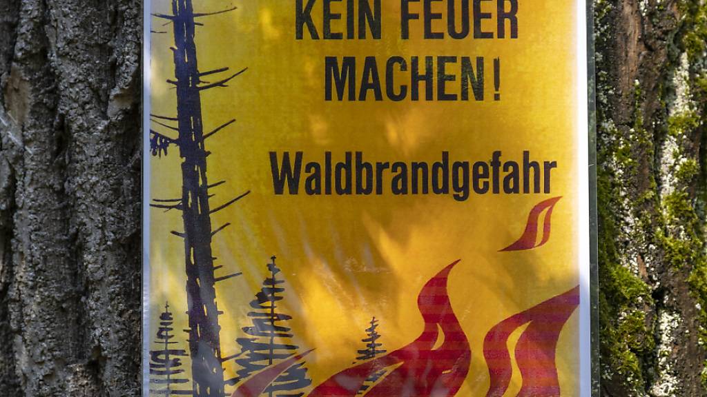 In zahlreichen Gemeinden des Kantons St. Gallen gilt ein Feuerverbot im Wald. (Archivbild)