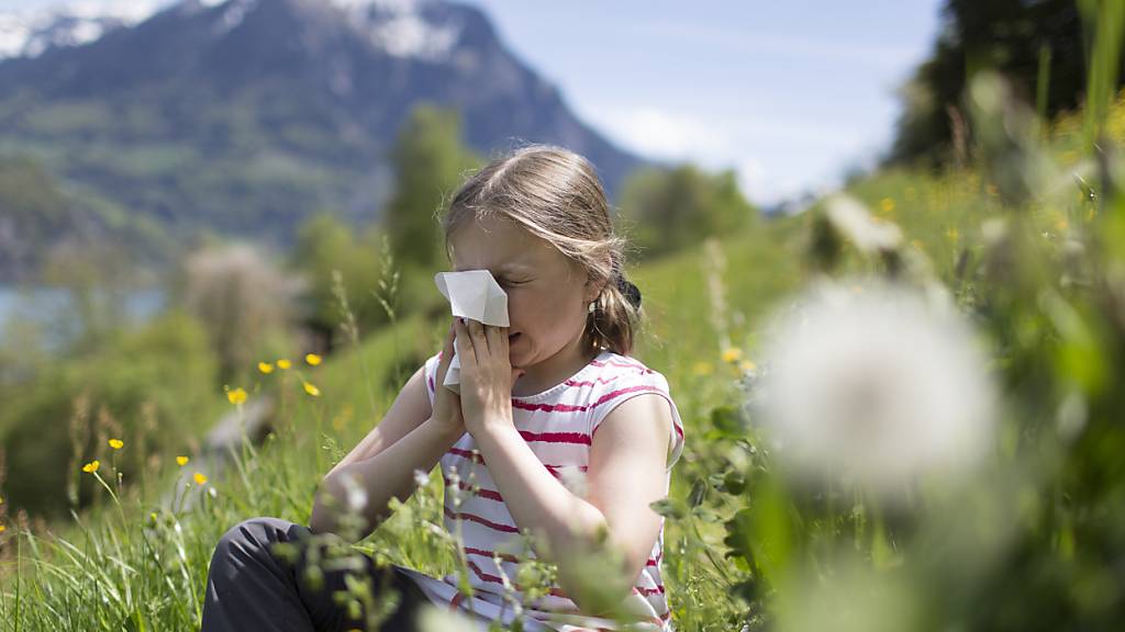 Eine hohe Pollenkonzentration kann laut einer Schweizer Studie bei Allergikern den Blutdruck erhöhen. (Archivbild)