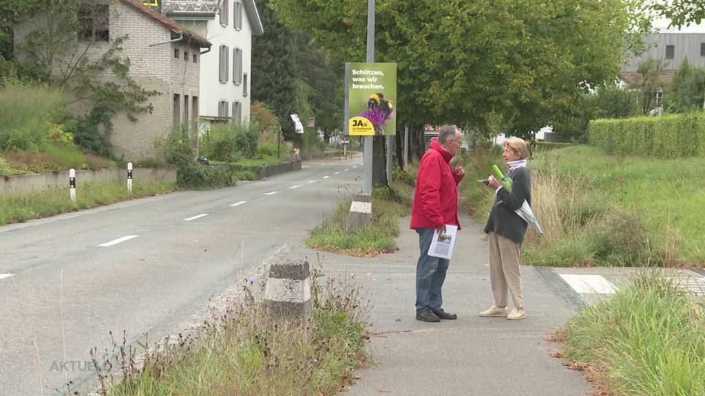 Mit Plakaten gegen Baumfällung: So entscheidet das Volk