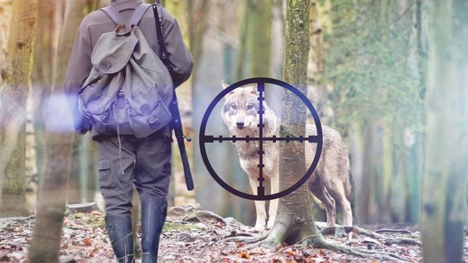Dienstag, 8. Oktober 2019 — Ganze Sendung