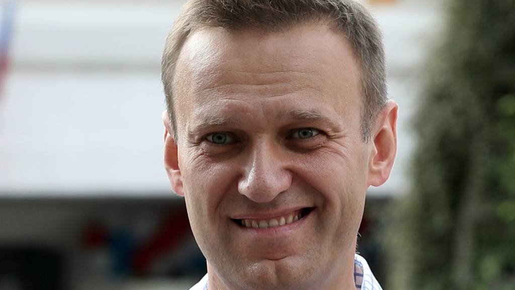 ARCHIV - Alexej Nawalny lächelt, nachdem er seine Stimme bei der Stadtratswahl abgegeben habt. Foto: Andrew Lubimov/AP/dpa