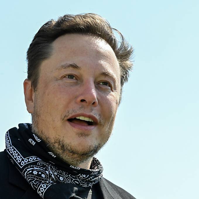 Kurz nach Einstieg bei Twitter fragt Elon Musk: Stirbt die Plattform?