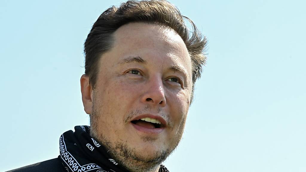 ARCHIV - Elon Musk ist mit einer Beteiligung von 9,2 Prozent zum größten Aktionär von Twitter geworden. Foto: Patrick Pleul/dpa-Zentralbild/dpa